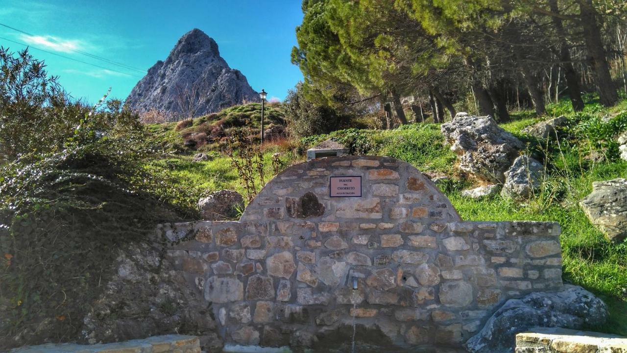 Apto Rural Fuente El Chorrito De Грасалема Экстерьер фото