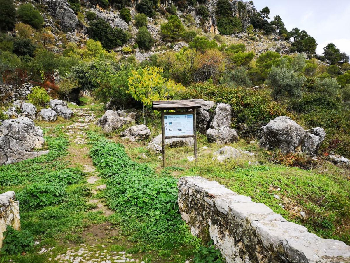 Apto Rural Fuente El Chorrito De Грасалема Экстерьер фото